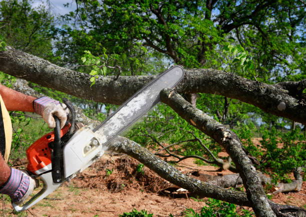 Mulching Services in Spring City, PA